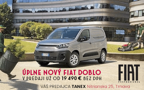 Fiat Professional 21