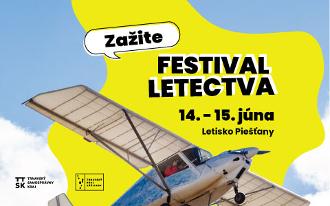 Festival letectva