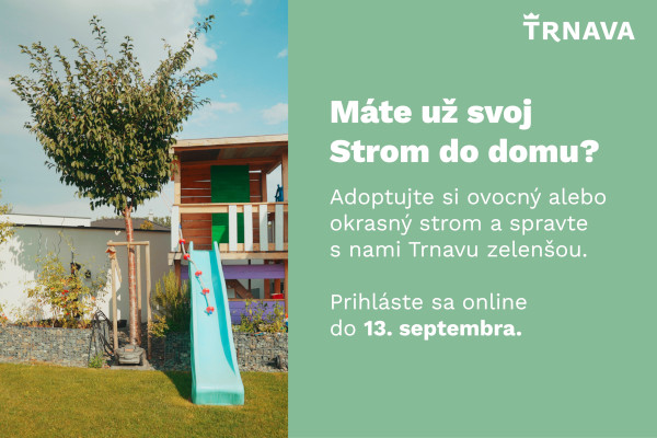 Trnava - Strom do domu