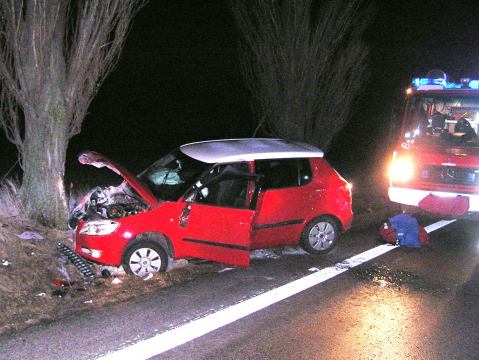 Mladý vodič Fabie narazil na ceste do Bučian do stromu