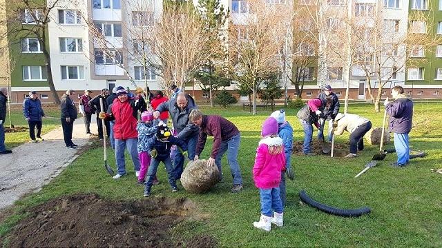 Vyhrnuli si rukávy: Stromy sadili na trnavských sídliskách rodiny, mestskí poslanci aj bezdomovci