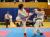 Na trnavský sviatok karate prišli stovky účastníkov, Vianočný pohár putoval do Srbska