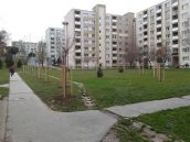 Mesto vysadilo na trnavských sídliskách novú zeleň