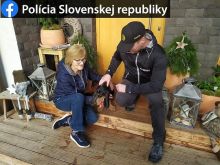 Psíka, ktorého za Trnavou napadlo bojové plemeno, našli a ošetrili