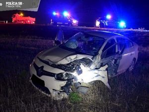 Žena šoférovala medzi Drahovcami a Madunicami s poriadnou opicou