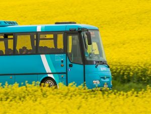 V piešťanskom regióne dočasne obmedzili prímestskú autobusovú dopravu