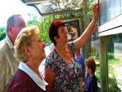 Priamo z ulíc: Väčšinu Trnavčanov zmeny autobusov nahnevali