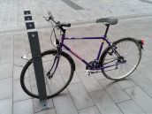 V Trnave rozmiestnia fotopasce, pomôžu riešiť čierne skládky a zlodejov bicyklov
