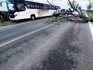 Vietor robí problémy, hasiči odstraňujú z ciest popadané stromy
