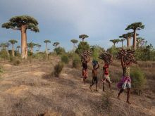 Cestovateľské kino: Z Trnavy cez Malý Berlín sa pôjde až na Madagaskar