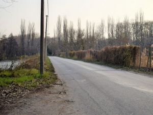 Práce na cyklochodníku do Bieleho Kostola stoja, aby boli chránené živočíchy