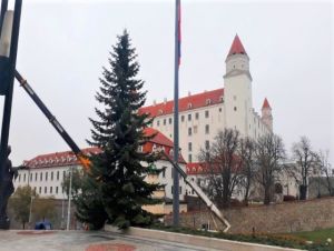 Pred parlamentom pripomína vianočné obdobie strom z Dechtíc