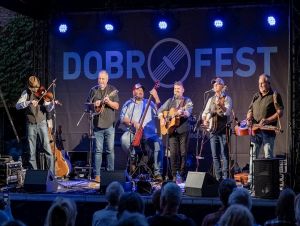 dobrofest_new-hay250830.jpg
