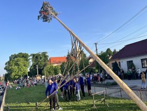 FOTO: V Dolnom Lopašove stavajú chlapi máj tradičným spôsobom - ručne