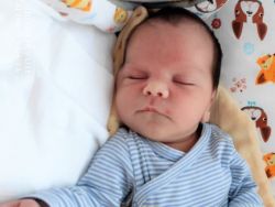 BÁBENCE: V Trnave prišli na svet nové životy
