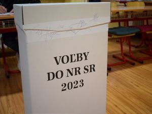 Smer dominoval takmer všade, vo Zvončíne a Piešťanoch vyhralo PS, niekde aj Hlas