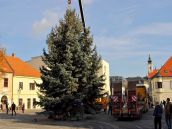 FOTO: Na námestí už stojí vianočný strom, takto ho prevážali z Agátovej ulice
