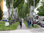 V Trnave chcú už tento rok vybudovať dva kilometre cyklotrás, čaká sa na súhlas poslancov