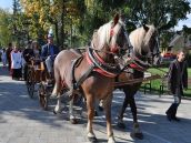 Veľká paráda v Leopoldove: Mestom šli panovník, pápež aj maršal