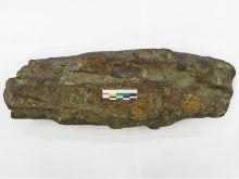 Rybár našiel čudný kameň, vykľul sa z neho vzácny archeologický nález
