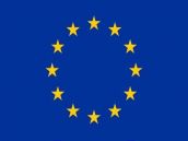 Konajú sa voľby do Európskeho parlamentu, zastupovať Slovensko bude trinásť poslancov