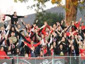 Fanúšika Spartaka Trnava obvinili za návštevu futbalu