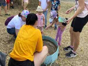 festival_chutno_250606.jpg