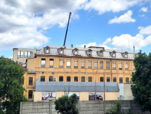 figaro_stahovanie_druhy_20260619.jpg