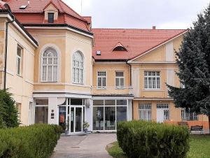 Trnavská galéria spolupracovala s parížskou na výstave Insiders