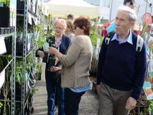 Gardenia očarila svojou pestrofarebnosťou aj záhradkárov z trnavského regiónu
