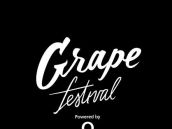 Šiesty ročník festivalu Grape predčasne ukončili
