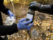 Zo skládky pri Hlohovci podľa Greenpeace pravdepodobne unikajú chemikálie