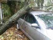 Víchrica zanechala škody: Stromy padali v kraji na elektrické vedenie aj na autá
