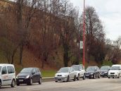 Rúbať stromy pod hradbami môžu, ak nechajú v zemi ich korene