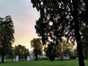 V Trnave vysadili stovky nových stromov