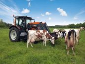 Firma chce v Červeníku a Drahovciach stavať bioplynky za milióny