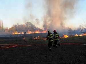 FOTO: Na vypustenom rybníku v Kamennom mlyne horí suchý porast
