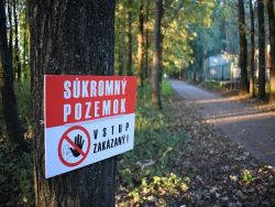 Z lesoparku pri Kamenáči odstránia lavičky, mesto sa nedohodlo s vlastníkmi pozemkov