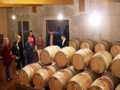 Na sobotných vínnych tour predstavia odrody producentov z regiónu Tirnavia