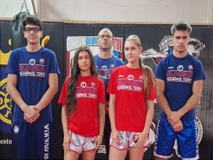 kickbox_repre_260915.jpg