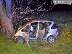Tragická nehoda pri Krakovanoch: Vodič zomrel po náraze do stromu