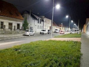 Na Kukučínovej tento rok stromy nepribudnú, Trnava zásielku z Holandska vrátila