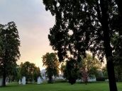 Lepšia Trnava organizuje v parku Pri kalvárii deň venovaný stromom