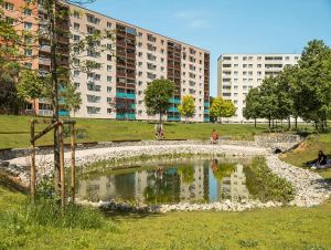Trnavská Agátka s jazierkom je nominovaná na ocenenie CE ZA AR