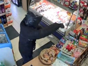 Na hlave mal čierny igelit, v ruke nôž. Lupiča policajti vytiahli z Váhu