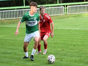 Futbal, 3. liga: Malženice podľahli lídrovi tabuľky z Považskej Bystrice