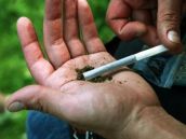 Najmenej štvoro Vianoc bez Ježiška aj bez marišky