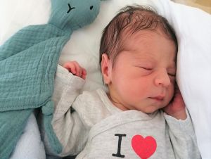 BÁBENCE: Na svet prišli ďalšie októbrové životy