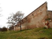 Na Hlbokej vyrúbu stromy, ktoré bránia výhľadu na historické hradby