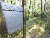 Dobrovoľníci vyčistia hradisko Molpír. Kto chce pomôcť, je vítaný